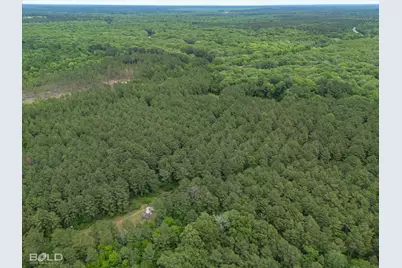 0 Highway 157, Benton, LA 71006 - Photo 6