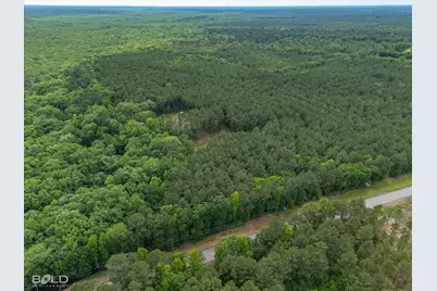 0 Highway 157, Benton, LA 71006 - Photo 10