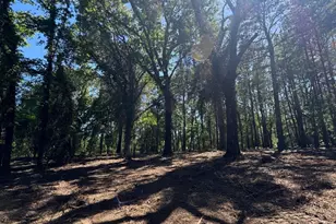 12983 County Rd 4122, Lindale, TX 75771 - Photo 2