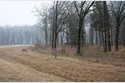 7375 Open Water Point, Quinlan, TX 75474 - Photo 14