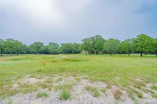 2687 McClendon Rd, Weatherford, TX 76088 - Photo 40