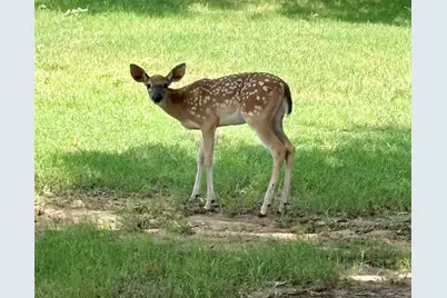 Lot 7 Glen Abbey Drive S, Possum Kingdom Lake, TX 76449 - Photo 16
