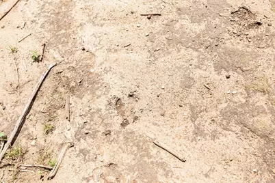 7807 Tx-6, Clifton, TX 76634 - Photo 40