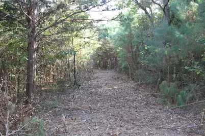 19963 State Highway 31 E, Tyler, TX 75705 - Photo 8