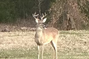 20741 State Hwy 155 S, Flint, TX 75762 - Photo 38