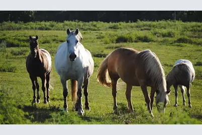 2801 Romero Way, Bartonville, TX 76226 - Photo 16