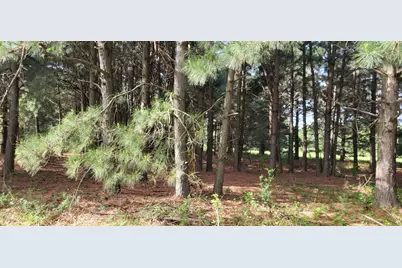 Tbd Cr 1176, Sulphur Springs, TX 75482 - Photo 4