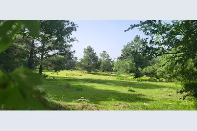 Tbd Cr 1176, Sulphur Springs, TX 75482 - Photo 2