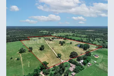 1273 County Road 1236, Quitman, TX 75783 - Photo 6