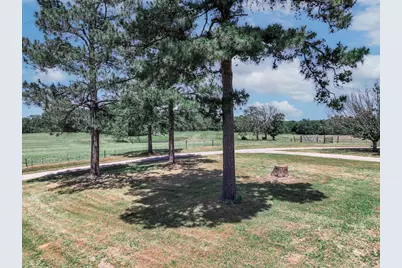 1273 County Road 1236, Quitman, TX 75783 - Photo 22