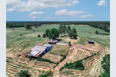 1273 County Road 1236, Quitman, TX 75783 - Photo 30