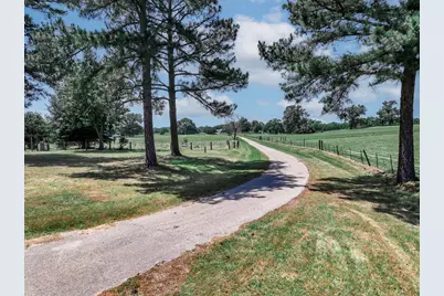 1273 County Road 1236, Quitman, TX 75783 - Photo 24