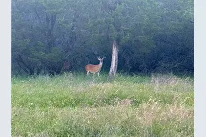 1633 Scenic Drive #201, Graford, TX 76449 - Photo 38