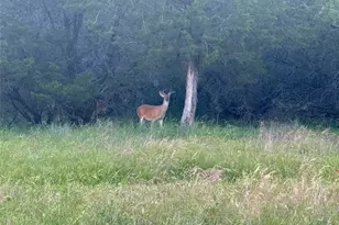 1633 Scenic Dr, Graford, TX 76449 - Photo 38