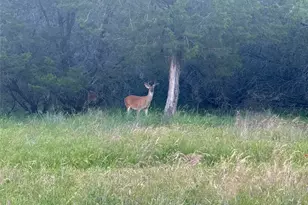 1633 Scenic Dr, Graford, TX 76449 - Photo 38
