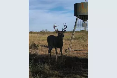 Tbd Fm 2321 Tract 2, Bellevue, TX 76228 - Photo 8