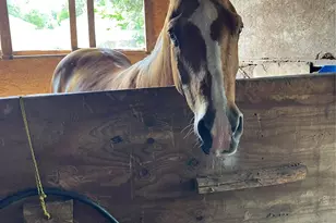 4531 Blackstone Dr, Fort Worth, TX 76114 - Photo 8