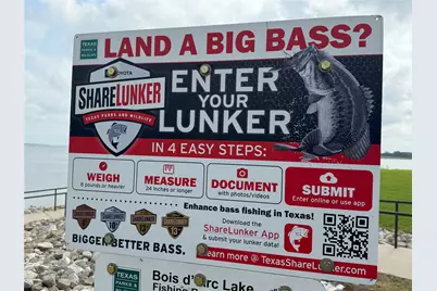 494 Lannius Road, Dodd City, TX 75438 - Photo 38