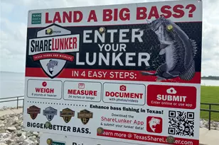 494 Lannius Rd, Dodd City, TX 75438 - Photo 38