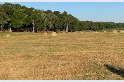 00 Hwy 71, Shreveport, LA 71107 - Photo 4