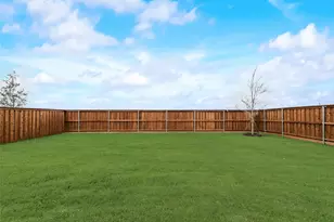 4136 Blackbird Ave, Little Elm, TX 75068 - Photo 28