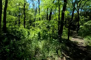 10045 Archer Rd, Princeton, TX 75407 - Photo 20