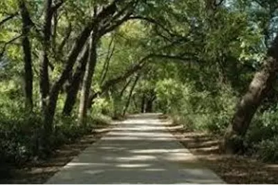 501 W Kimball Street, Mansfield, TX 76063 - Photo 2