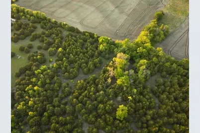 934 Everheart Road, Bells, TX 75414 - Photo 18