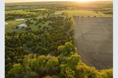 934 Everheart Road, Bells, TX 75414 - Photo 8