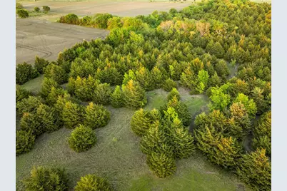 934 Everheart Road, Bells, TX 75414 - Photo 30