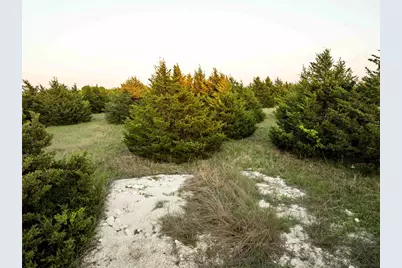 934 Everheart Road, Bells, TX 75414 - Photo 24