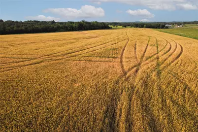 Tdb Fm-137, Roxton, TX 75477 - Photo 22