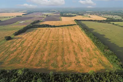 Tdb Fm-137, Roxton, TX 75477 - Photo 8