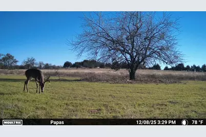 1634 Business 78, Farmersville, TX 75442 - Photo 20