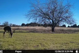 1634 Business 78, Farmersville, TX 75442 - Photo 20