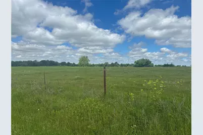 Lot 8 County Road 1400, Ravenna, TX 75476 - Photo 4