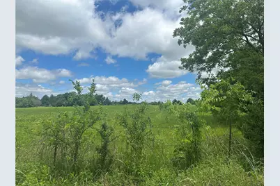 Lot 10 County Road 1400, Ravenna, TX 75476 - Photo 2