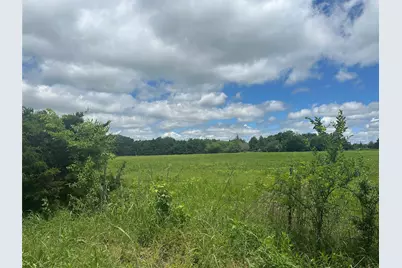 Lot 10 County Road 1400, Ravenna, TX 75476 - Photo 14