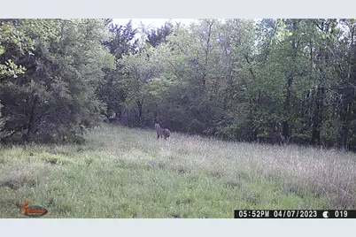 0 Cr 286, Gustine, TX 76455 - Photo 26