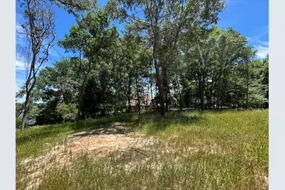 Lot Tr 5B Stevenson Rd, Frankston, TX 75763 - Photo 8