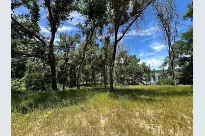 Lot Tr 5B Stevenson Rd, Frankston, TX 75763 - Photo 4