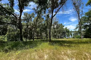 Lot Tr 5B Stevenson Rd, Frankston, TX 75763 - Photo 4