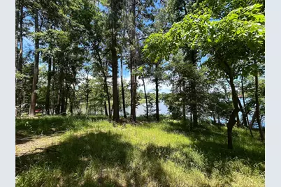 Lot Tr 5B Stevenson Rd, Frankston, TX 75763 - Photo 2