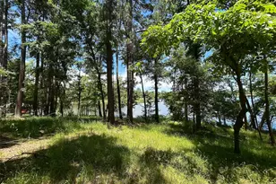 Lot Tr 5B Stevenson Rd, Frankston, TX 75763 - Photo 2