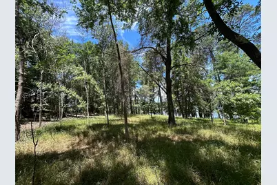 Lot Tr 5B Stevenson Rd, Frankston, TX 75763 - Photo 12