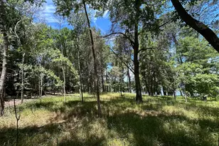 Lot Tr 5B Stevenson Rd, Frankston, TX 75763 - Photo 12