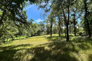 Lot Tr 5B Stevenson Rd, Frankston, TX 75763 - Photo 16