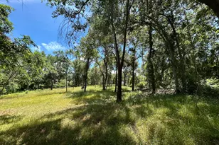 Lot Tr 5B Stevenson Rd, Frankston, TX 75763 - Photo 1