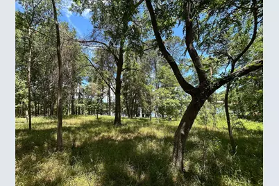 Lot Tr 5B Stevenson Rd, Frankston, TX 75763 - Photo 6