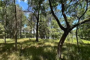 Lot Tr 5B Stevenson Rd, Frankston, TX 75763 - Photo 6